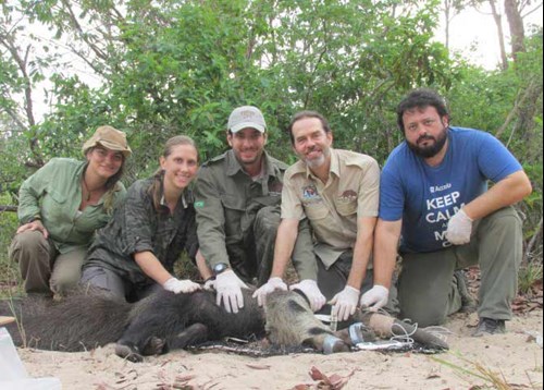 Giant Armadillo Conservation Team with Yamil
