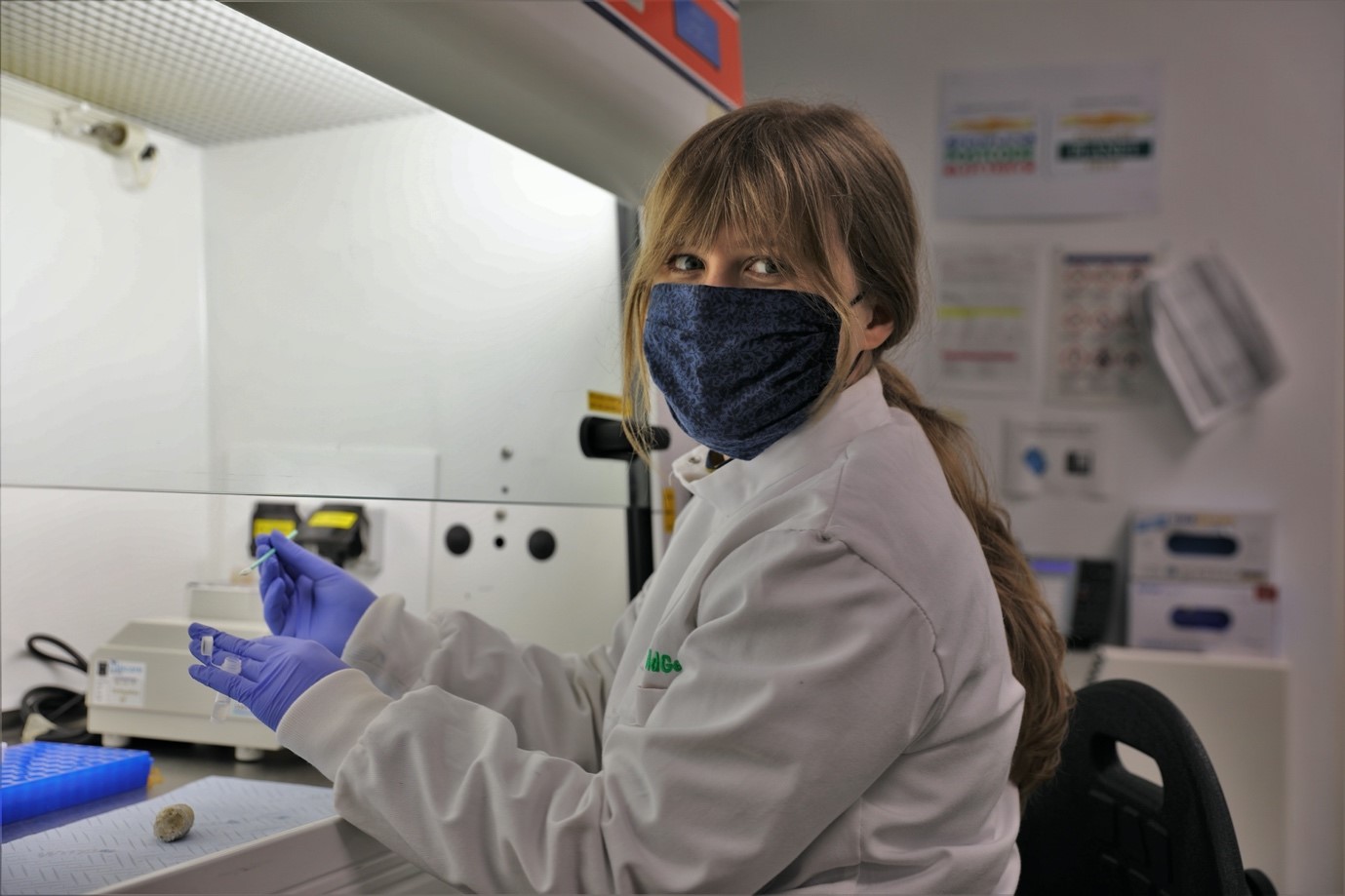 Magda Bukowska processing samples in RZSS WildGenes lab