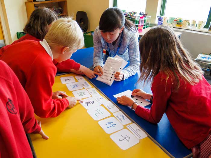 Group of school children taking part in a matching characters lesson for Beyond the Panda