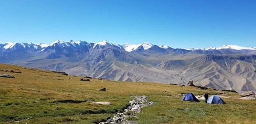RZSS cat conservation blog - campsite at Kyrgyzstan at 3,700 feet