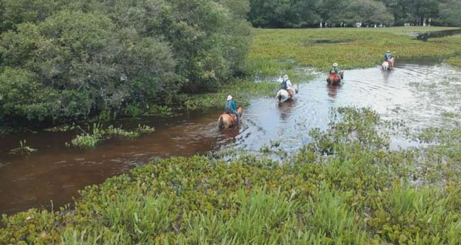 Travelling by horseback in the flooded Pantanal