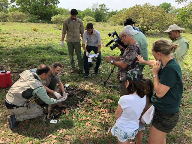 The Giant Armadillo Conservation Team are joined by a nature TV film crew