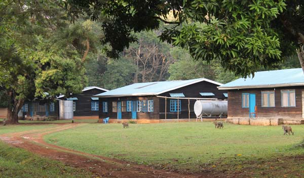 Budongo Conservation Field Station