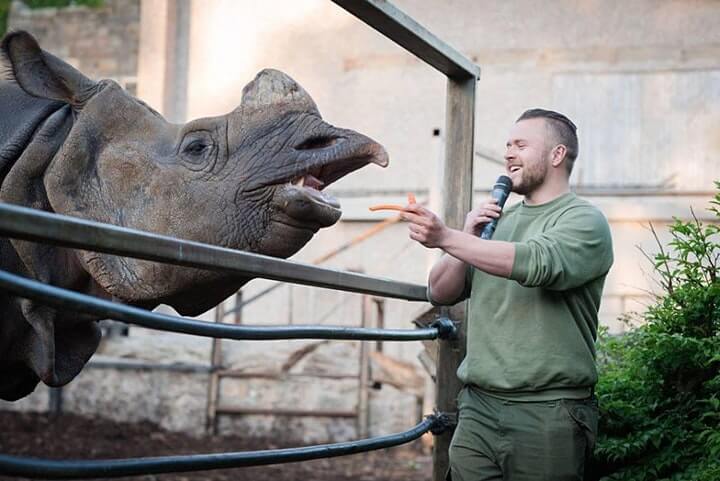 A keeper feeding a rhino at Edinburgh Zoo